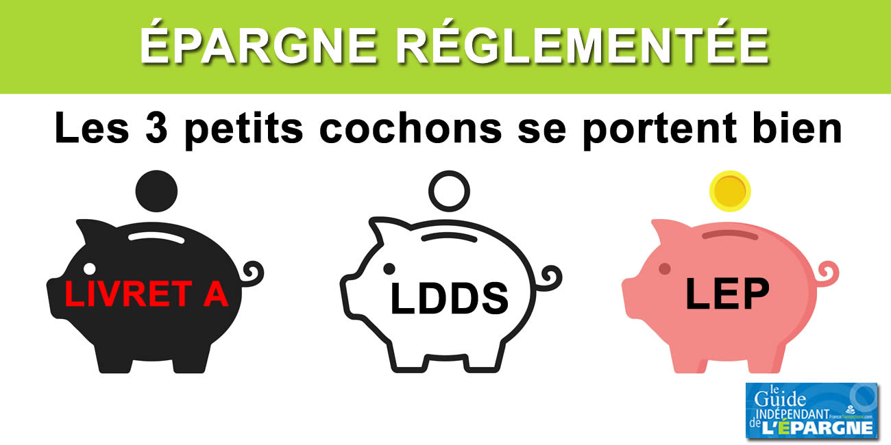 Les 3 petits cochons réglementés continuent de s'engraisser