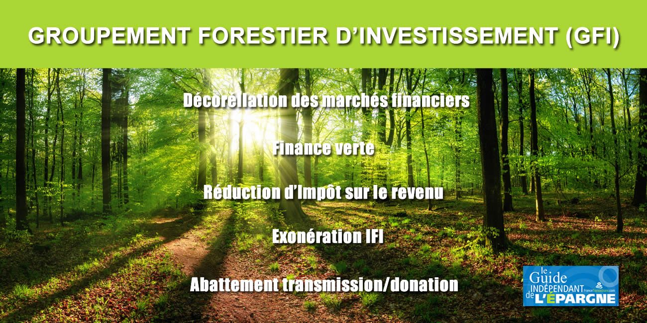 Groupement Forestier d'Investissement : encore de bonnes nouvelles pour le GFI Vatel